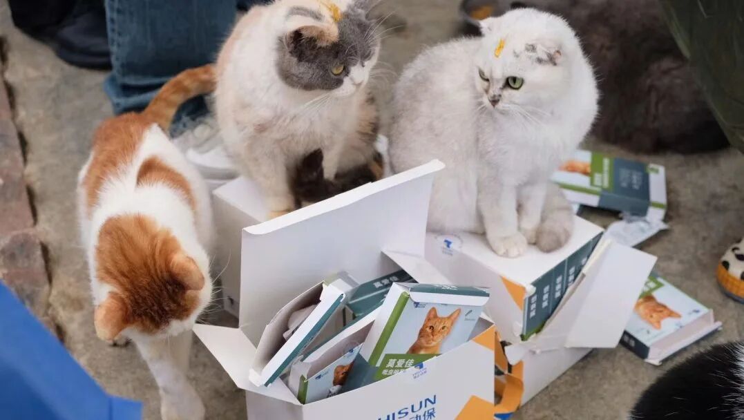 给TA佳倍的爱公益计划